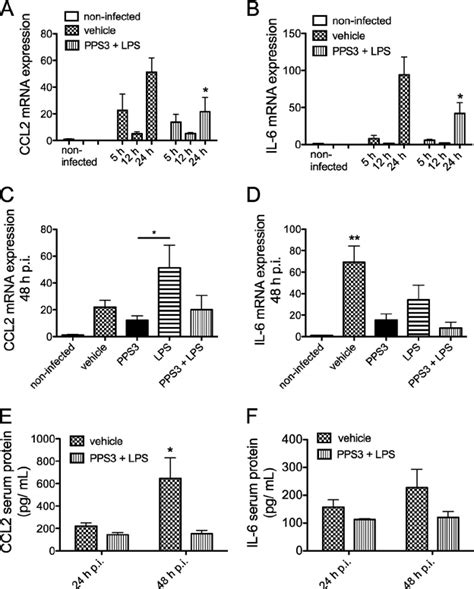 Lung Proinflammatory Cytokine Mrna And Protein Expression Levels During Download Scientific