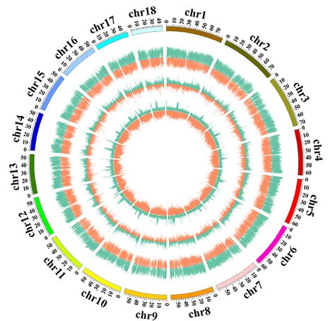 Figure 3 From Integrated Methylome And Transcriptome Analyses Reveal