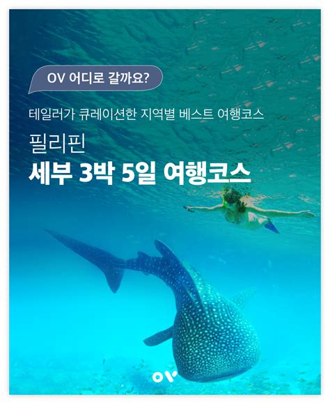 필리핀 여행 필리핀 세부여행 세부 3박5일 여행코스 정리정통