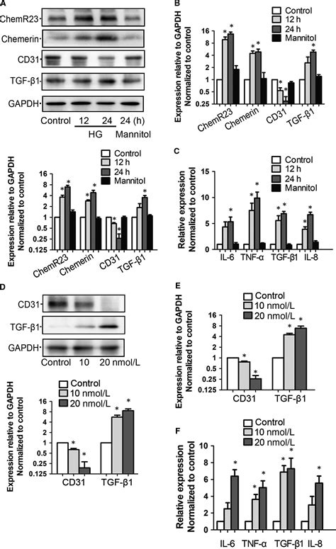 Chemerin ChemR23 Axis Promotes Inflammation Of Glomerular Endothelial