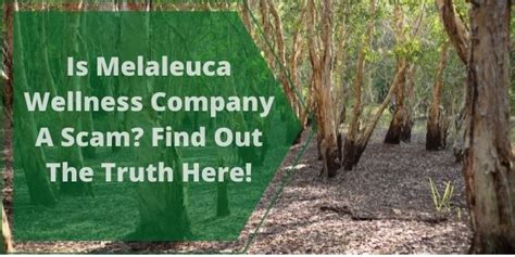 Is Melaleuca Wellness Company A Scam