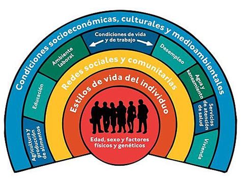 Factores Determinantes De La Salud Timeline Timetoast Timelines