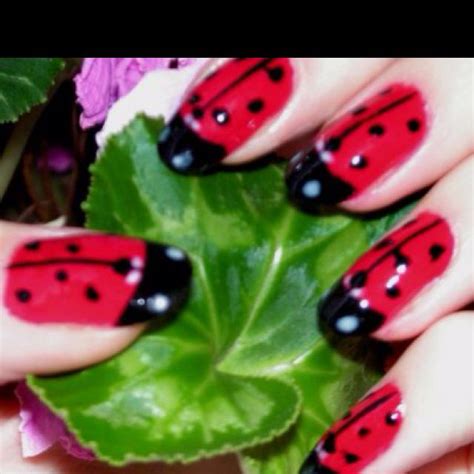 Lady bug nails | Simple nail designs, Beauty nails design, Nail designs