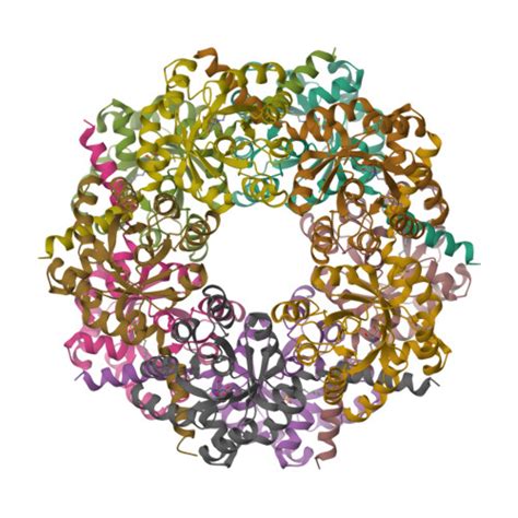 RCSB PDB 8BC4 Cryo EM Structure Of A BmSF TAL Sulfofructose Schiff