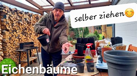 Eichen B Ume Selber Ziehen Waldprojekt Brennholz Wildschutzzaun Und