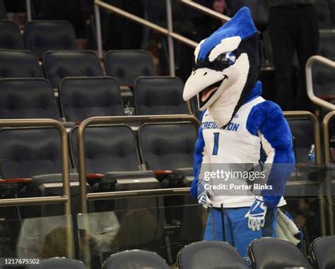 Creighton Mascot Photos and Premium High Res Pictures - Getty Images