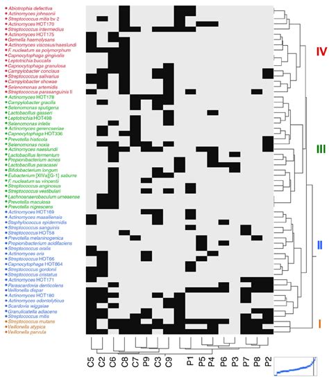 Two Way Hierarchical Cluster Of Binary Levels For Samples Across