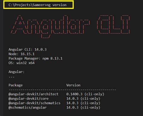 Node Js Checking Version Of Angular Cli That S Installed Stack