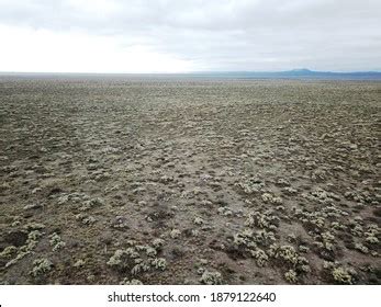 Straight Road Desert Landscape Stock Photo 1879122640 | Shutterstock