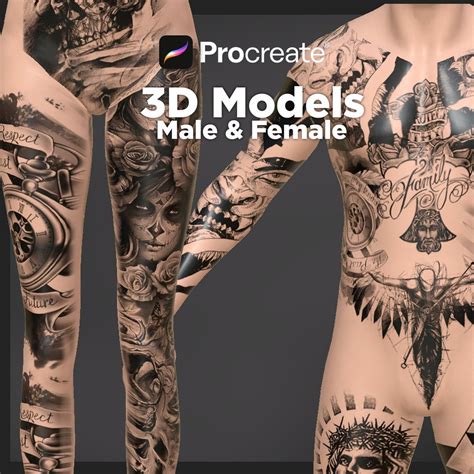 Procreate Human 3D Model Male Female Woman Man Arm Leg Etsy UK