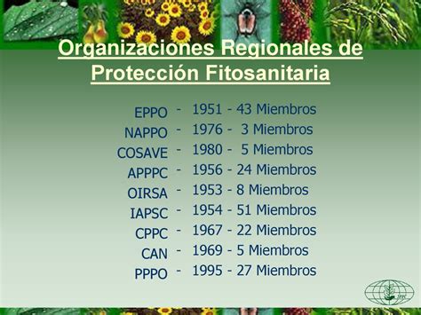 MSF y CIPF CONVENCIÓN INTERNACIONAL DE PROTECCIÓN FITOSANITARIA ppt