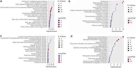 A Systematic Exploration Of Key Candidate Genes And Pathways In The