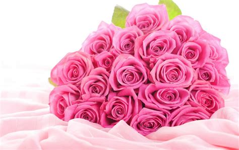 Originalwide Rosa Rosen Wallpapers Pink Flower Bouquet Png 1028746