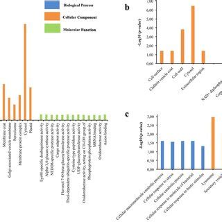 Functional Classification Of The Identified Proteins From The