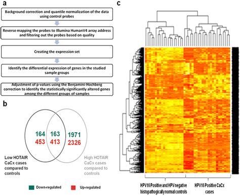 Microarray Based Global Gene Expression Profiling A Analysis Download Scientific Diagram