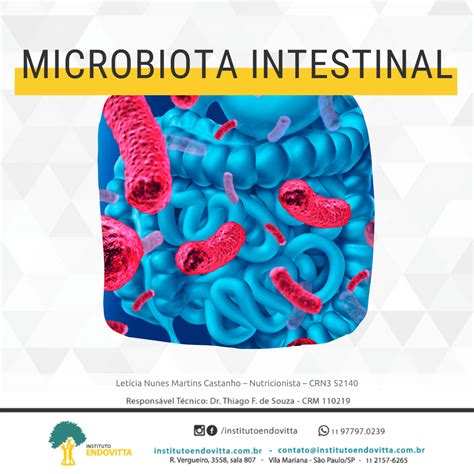 10 Fatos Microbiota Intestinal Instituto EndoVitta