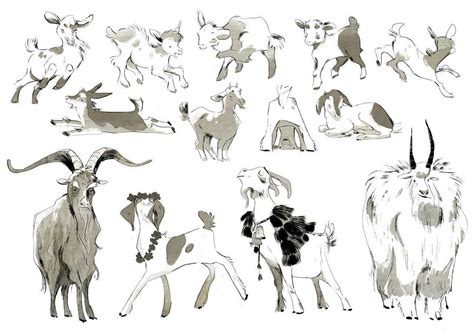 Goat Drawing Reference And Sketches For Artists Goat Art Animal