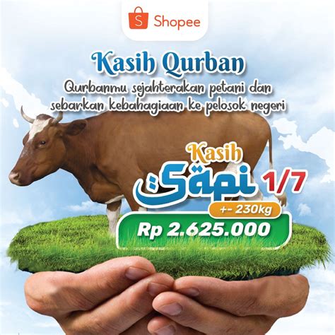 Jual Qurban Di Pelosok Kasih Sapi 17 Kurban Kambing Domba Sapi