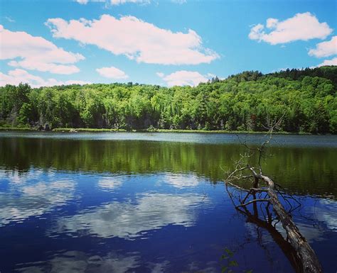 Cobble Hill A 31k Hike In Lake Placid Ny Adventure Report