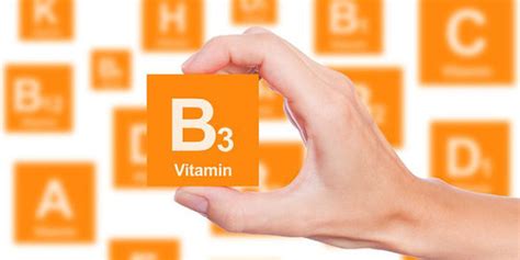 Mengenal Niacinamide Atau Vitamin B3 Dan 6 Manfaatnya Untuk Kesehatan Kulit