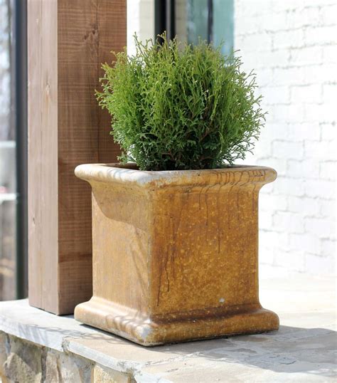 Best Plants for Your Front Porch - Plank and Pillow