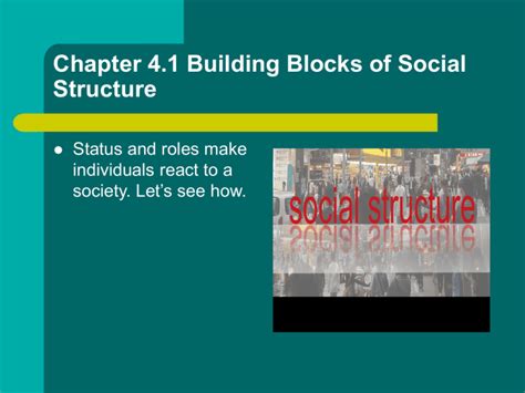 Chapter 41 Building Blocks Of Social Structure