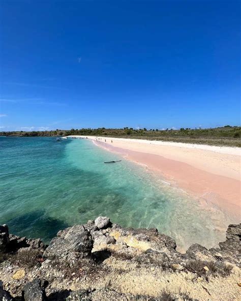 Pink Beach Lombok Tour Gili Ticketing