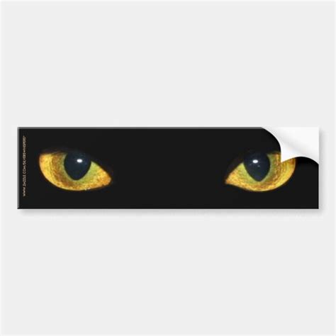 Cats Eyes Bumper Sticker