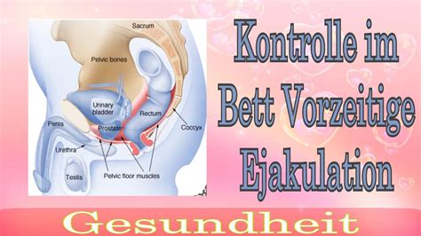 Vorzeitiger Ejakulation Und Erektiler Dysfunktion Youtube