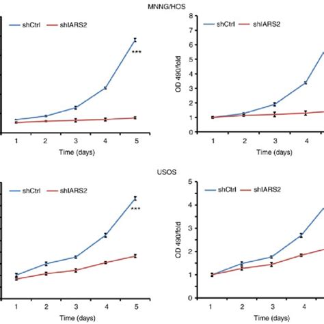 IARS2 Knockdown Inhibits Proliferation Of Osteosarcoma Cell Lines As