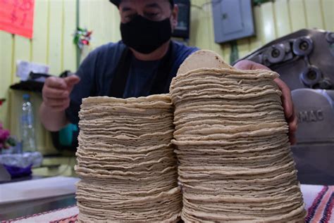 Prevén Aumento En Precio De La Tortilla En México N