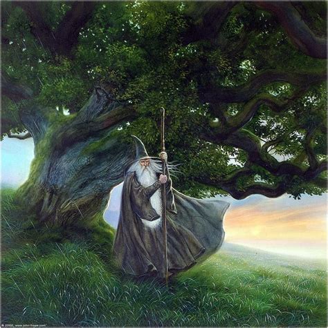 'Gandalf' by John Howe : r/ImaginaryMiddleEarth