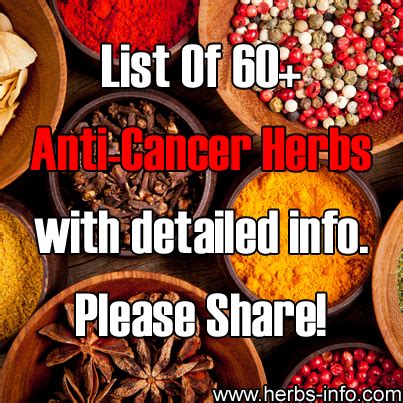 Full Report On 60+ Anticancer Herbs