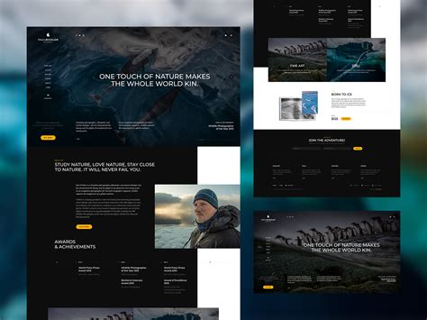 Paul Nicklen Photographer 📸 by Mateusz Madura on Dribbble