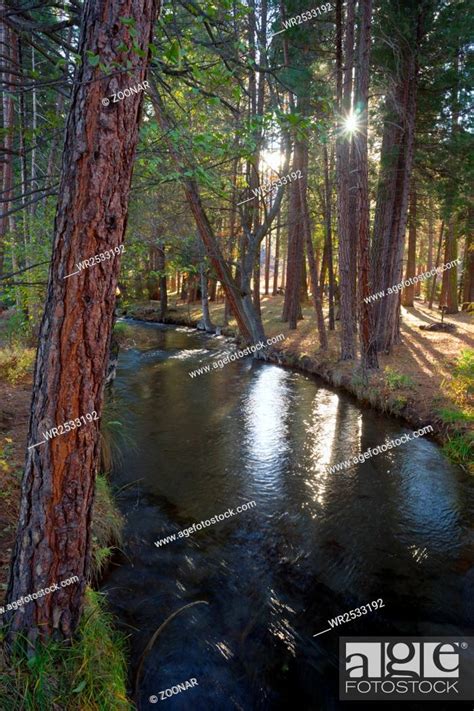 Fast Moving Stream Hat Creek Lassen National Forest Stock Photo