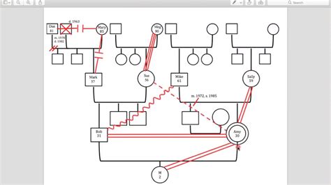 3 generation genogram relationship - divefity