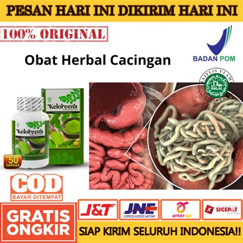 Jual Obat Cacingan Cacingan Untuk Dewasa And Anak Anak Cacing Perut