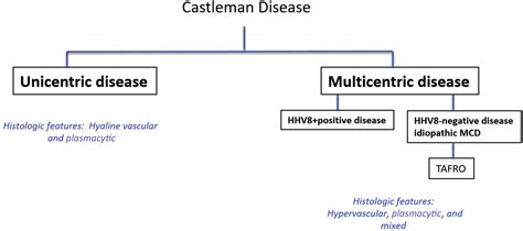 Pathology Of Castleman Disease Hematologyoncology Clinics