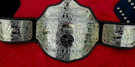 Ric Flair Big Gold Wrestling Championship Belt Replica Real Etsy