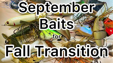 The Baits To Use In September Bass Fishing Fall Transition YouTube