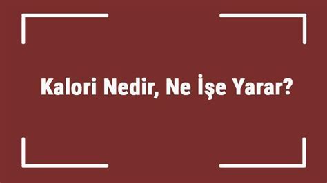 Kalori Nedir Ne İşe Yarar Kalori Açığı Nasıl Oluşturulur Yağ Yakar Mı