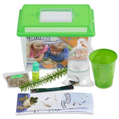 Best Tadpole Life Cycle Kits A Guide