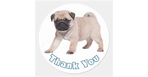 Thank You Pug Puppy Dog Sticker Seal Zazzle