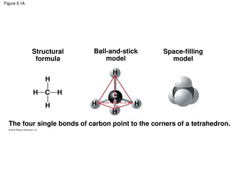 Chapter 3 The Molecules Of Cells Ppt Download