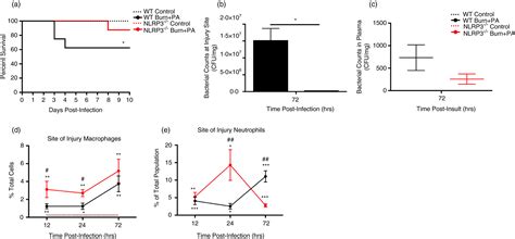 Nlrp3 Knockout Enhances Immune Infiltration And Inflammatory Responses