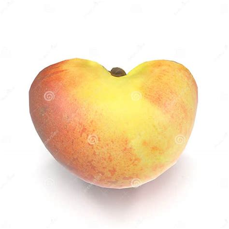 Half Of Peach With Seed Isolated On White Background 3d Illustration