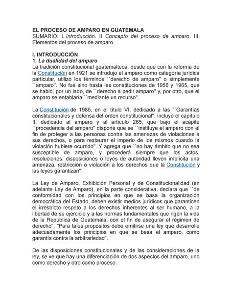 El Proceso De Amparo En Guatemala El Proceso De Amparo En Guatemala