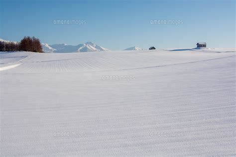 冬の晴れた日の青空と雪山の写真素材 Fyi07898671 ストックフォトの Qlean Market