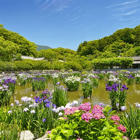 太宰府天満宮 ジャパントラベルデスク