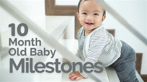 10 Month Old Baby Development Milestones, 300K+ Babies Achievement Revealed